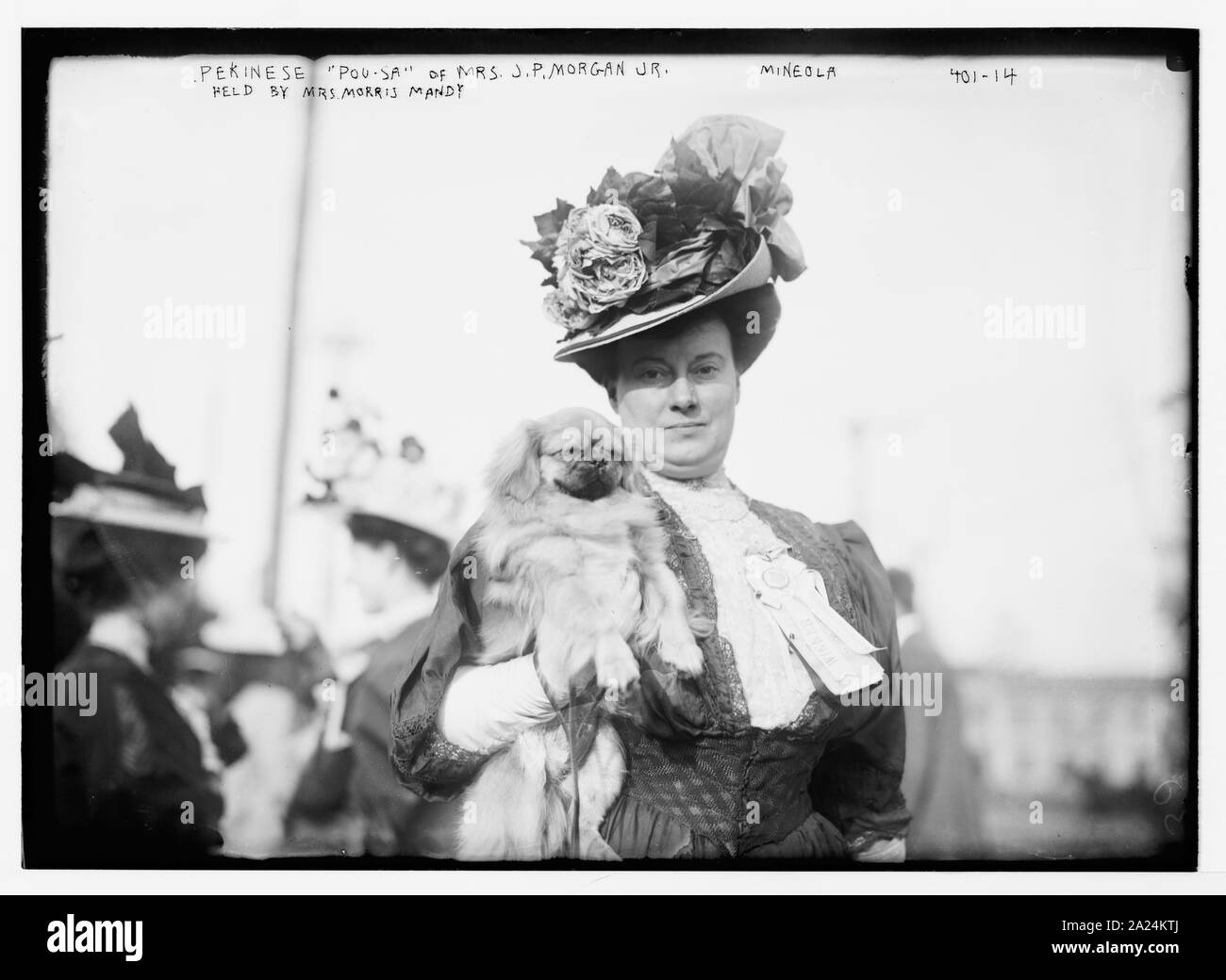 J P Morgan Jr Banque D Image Et Photos Alamy