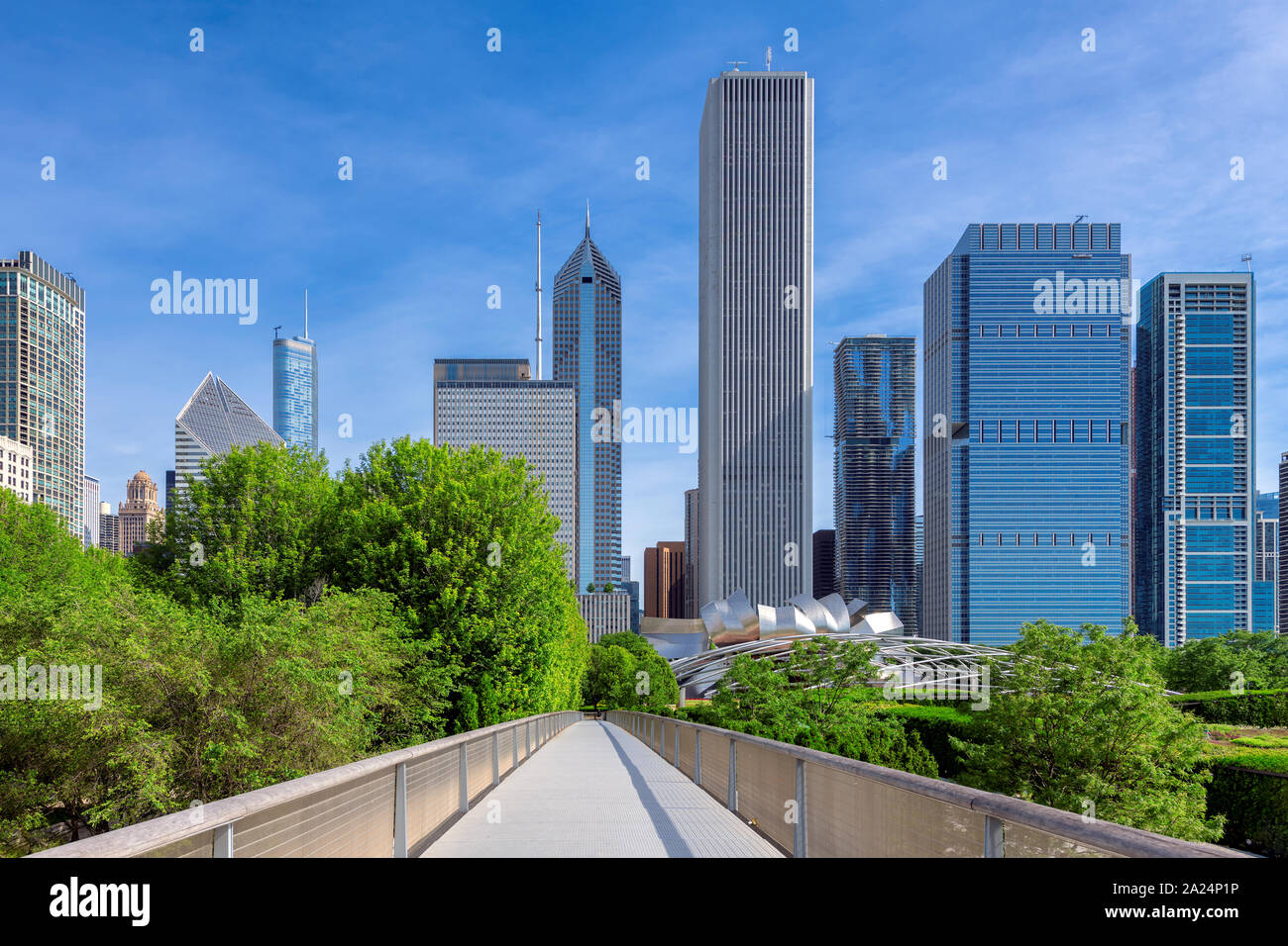 Horizon de Chicago en été journée ensoleillée Banque D'Images