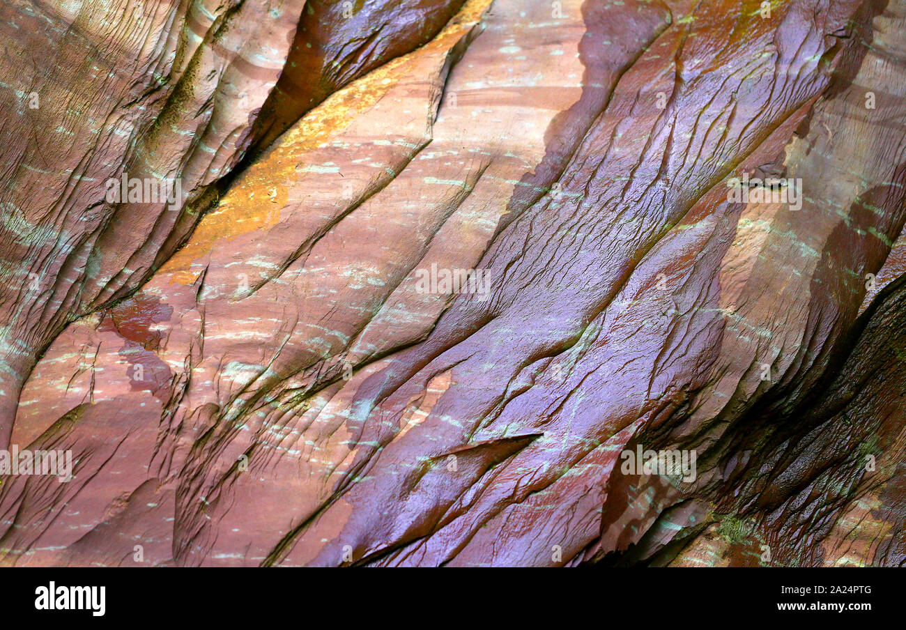 Macro photo de grosses pierres et les montagnes dans un parc Banque D'Images