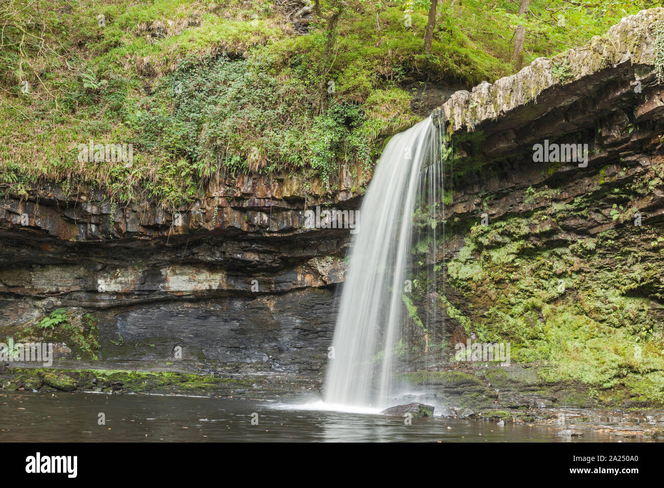 Sgwd Gwladus (Lady Falls) Pyrddin sur River, près de Pontneddfechan, parc national de Brecon Beacons, dans le sud du Pays de Galles, Royaume-Uni Banque D'Images
