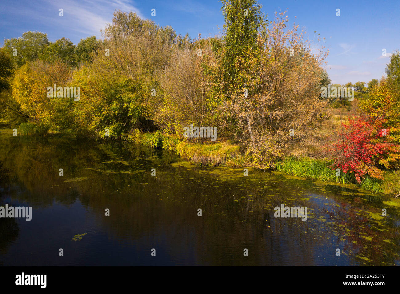 Paysage d'automne lumineux avec une rivière Banque D'Images