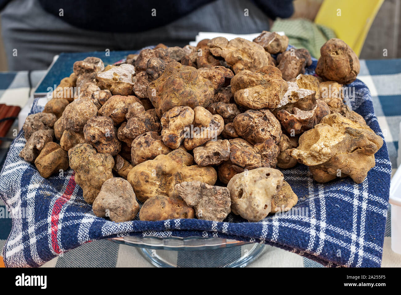 Vue rapprochée de célèbre la truffe blanche du Piémont, Italie du Nord. Banque D'Images