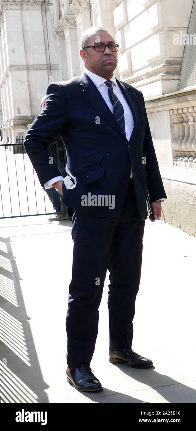 James habilement, député (né le 4 septembre 1969), homme politique conservateur britannique. Membre du Parlement (MP) pour Braintree et vice-président du parti conservateur. Il a préconisé un Brexit voter dans le référendum de 2016 l'adhésion à l'UE. Vu arrivant à Downing Street pour des entretiens avec le Premier Ministre d'avril 2019 ; mai Theresa Banque D'Images