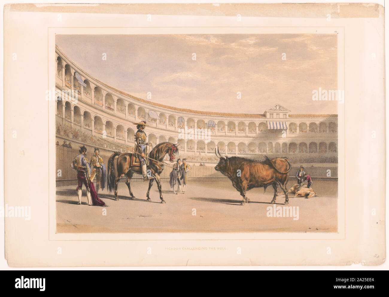 Le picador bull Banque D'Images