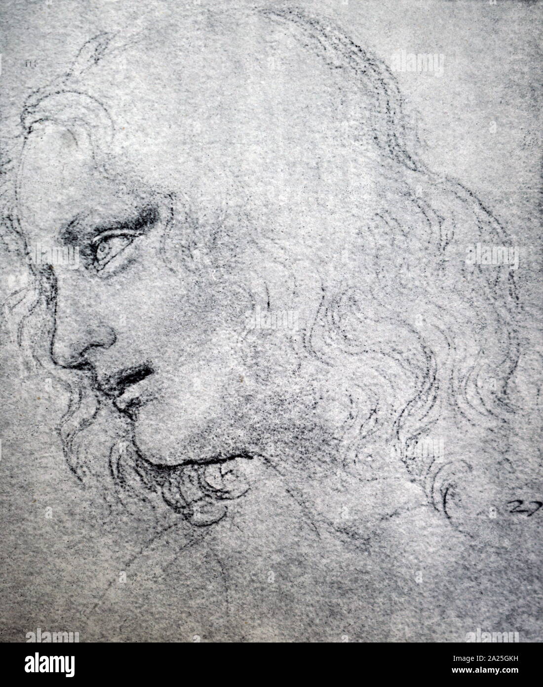 Sketch intitulé "La tête de saint Philippe" de Léonard de Vinci. Leonardo di ser Piero da Vinci (1452-1519) un grand penseur italien de la Renaissance. Banque D'Images