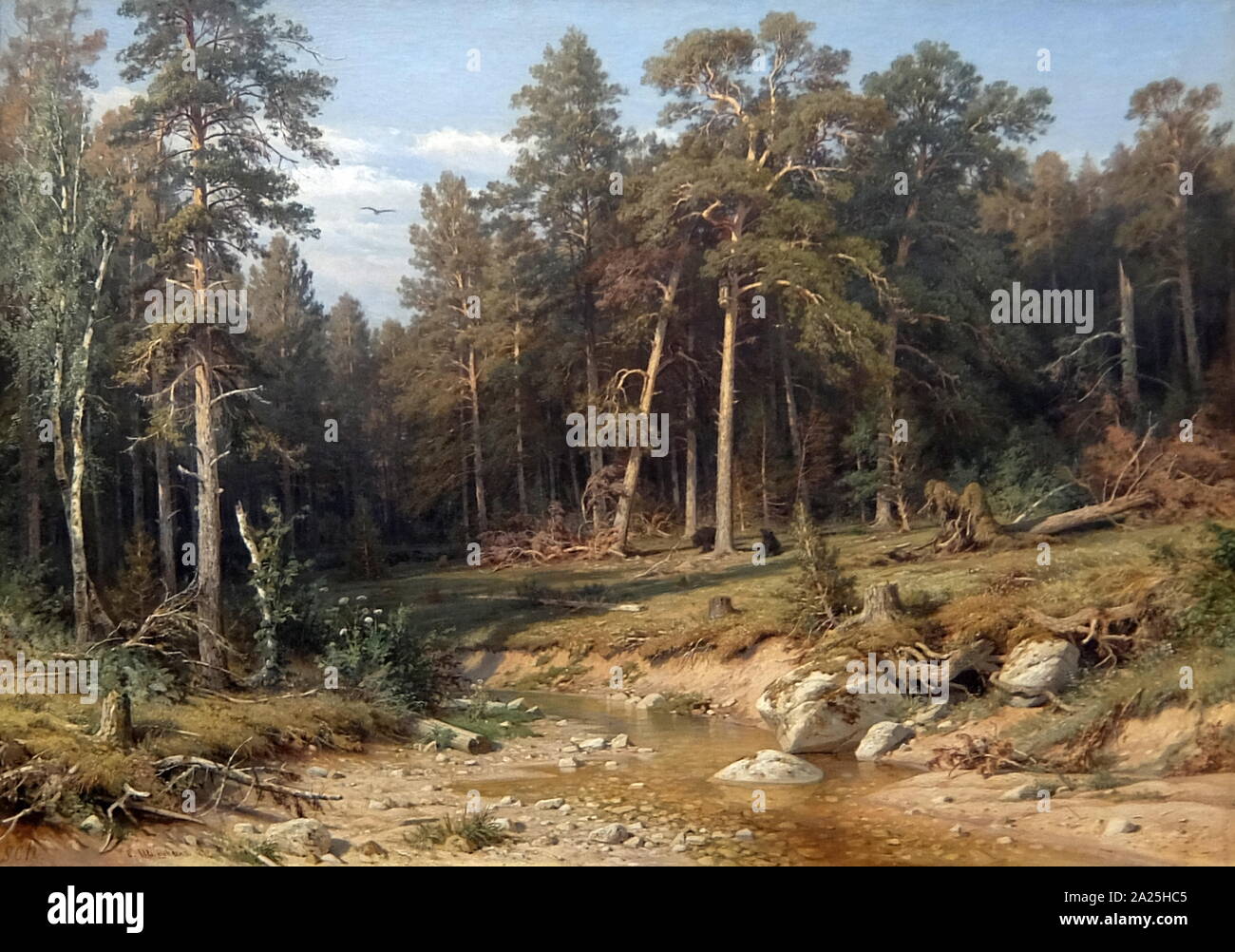 La peinture intitulée 'Forêt de pins. Bois du mât dans la Gubernyia Woods' par Ivan Chichkine. Ivan Ivanovitch Chichkine (1832-1898) un peintre de paysage russe Banque D'Images