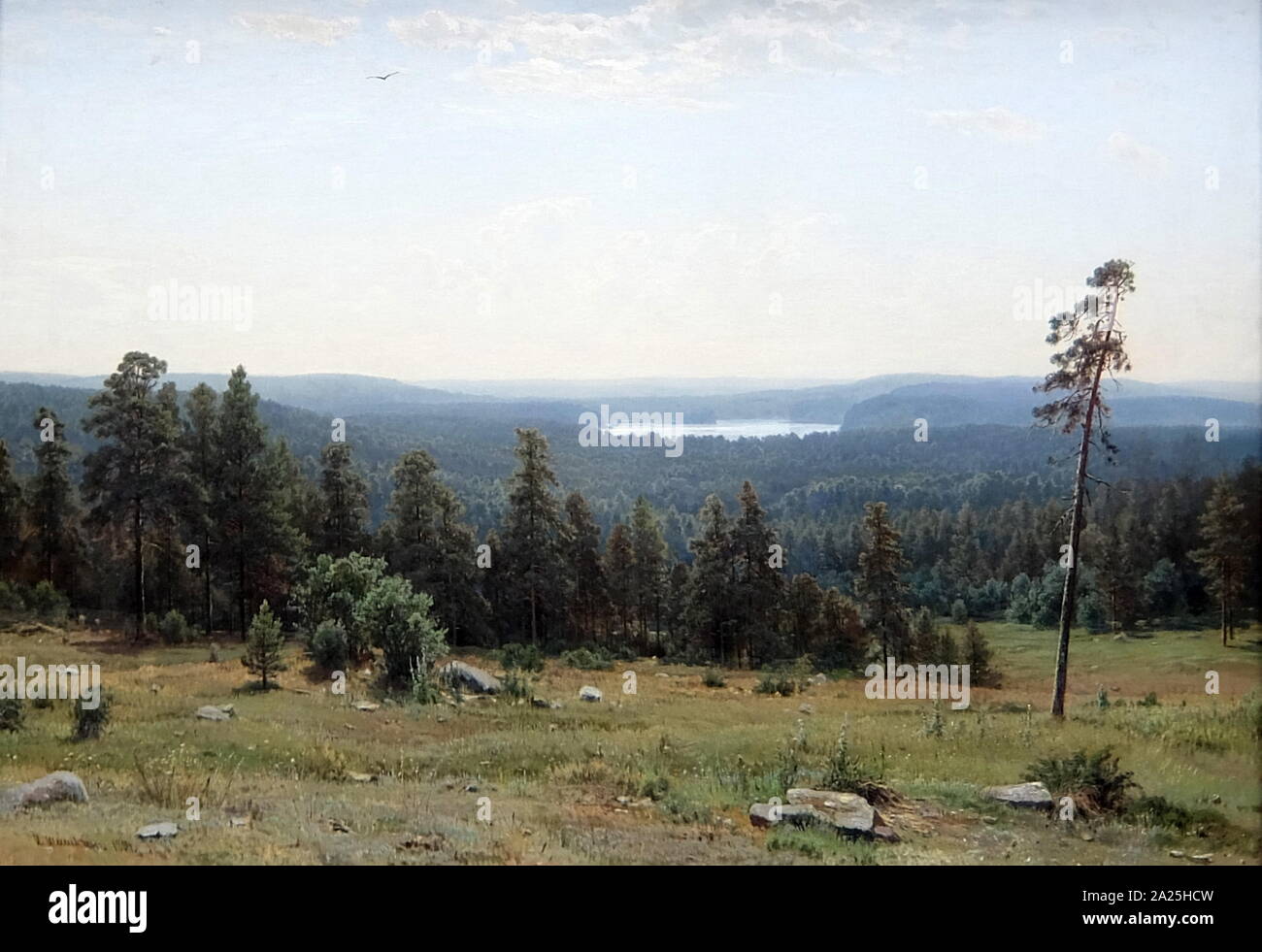 La peinture intitulée 'Distant Woods' par Ivan Chichkine. Ivan Ivanovitch Chichkine (1832-1898) un peintre de paysage russe Banque D'Images