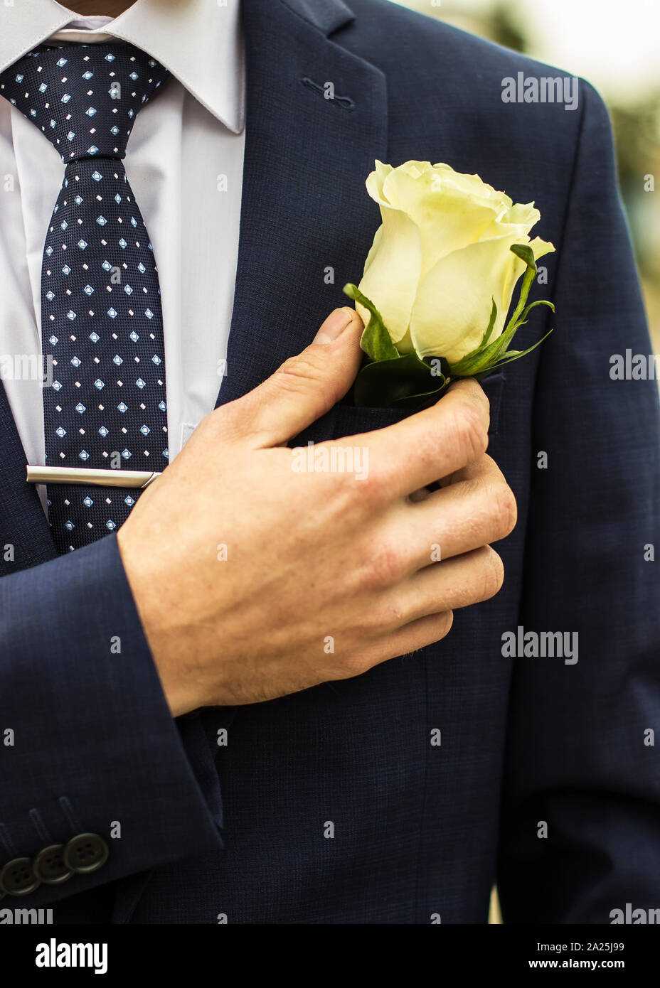 Le marié boutonnière ajuste son sa main dans une poche de veste closeup Banque D'Images