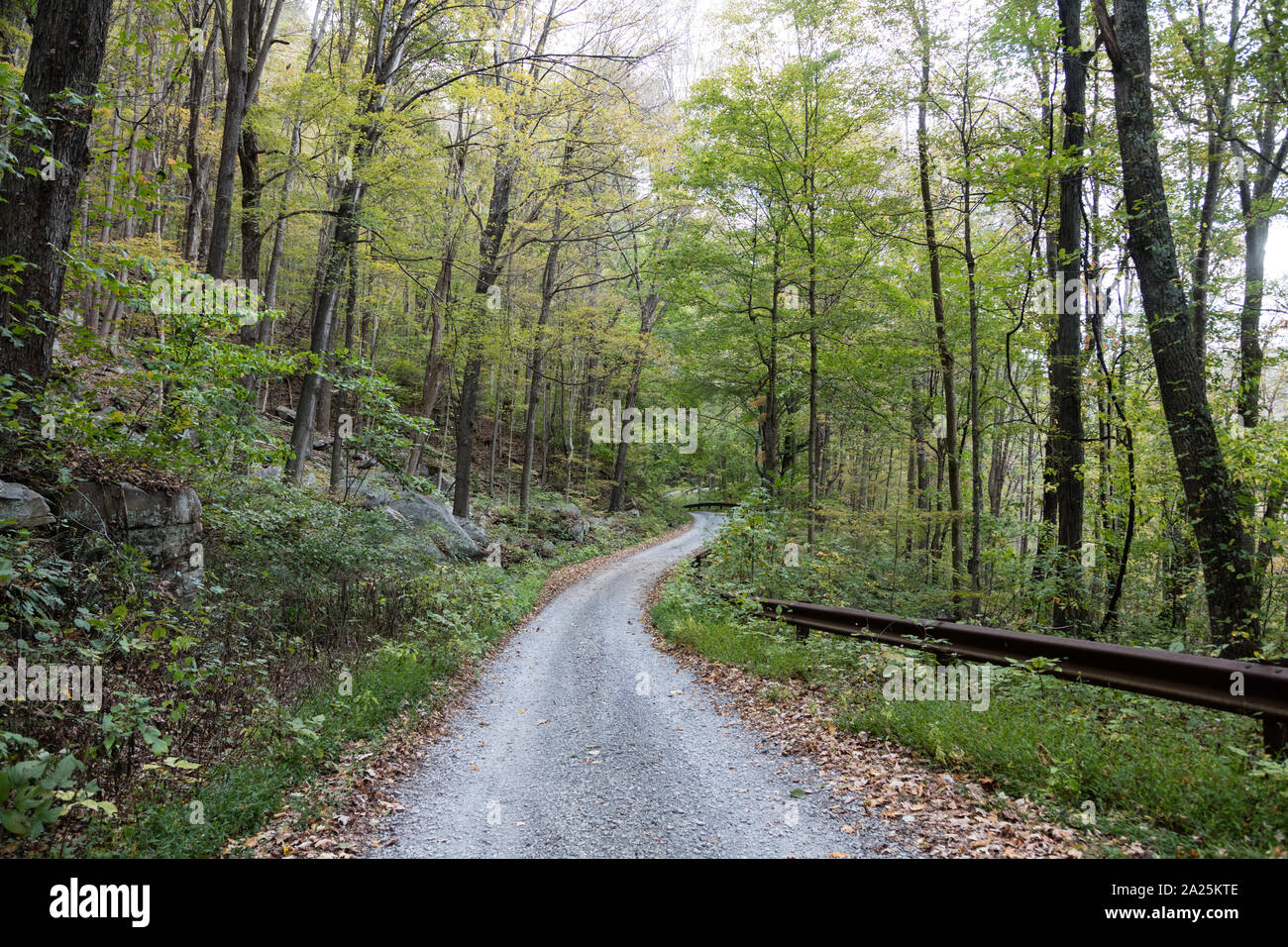 Mais pittoresque route mince à Nuttallburg, une ville fantôme qui a été une fois que l'un d'environ 50 places qui éclosent dans les profondes forêts de la Virginie de l'ouest le long de la New River à la fin des années 1800 en réponse à la demande de charbon vorace en plein cœur de la révolution industrielle du pays Banque D'Images