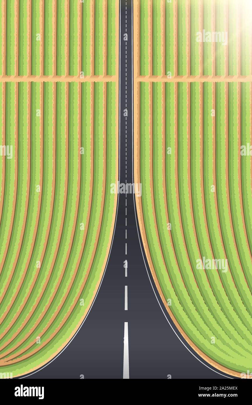 Droneception paysage routier Illustration de Vecteur