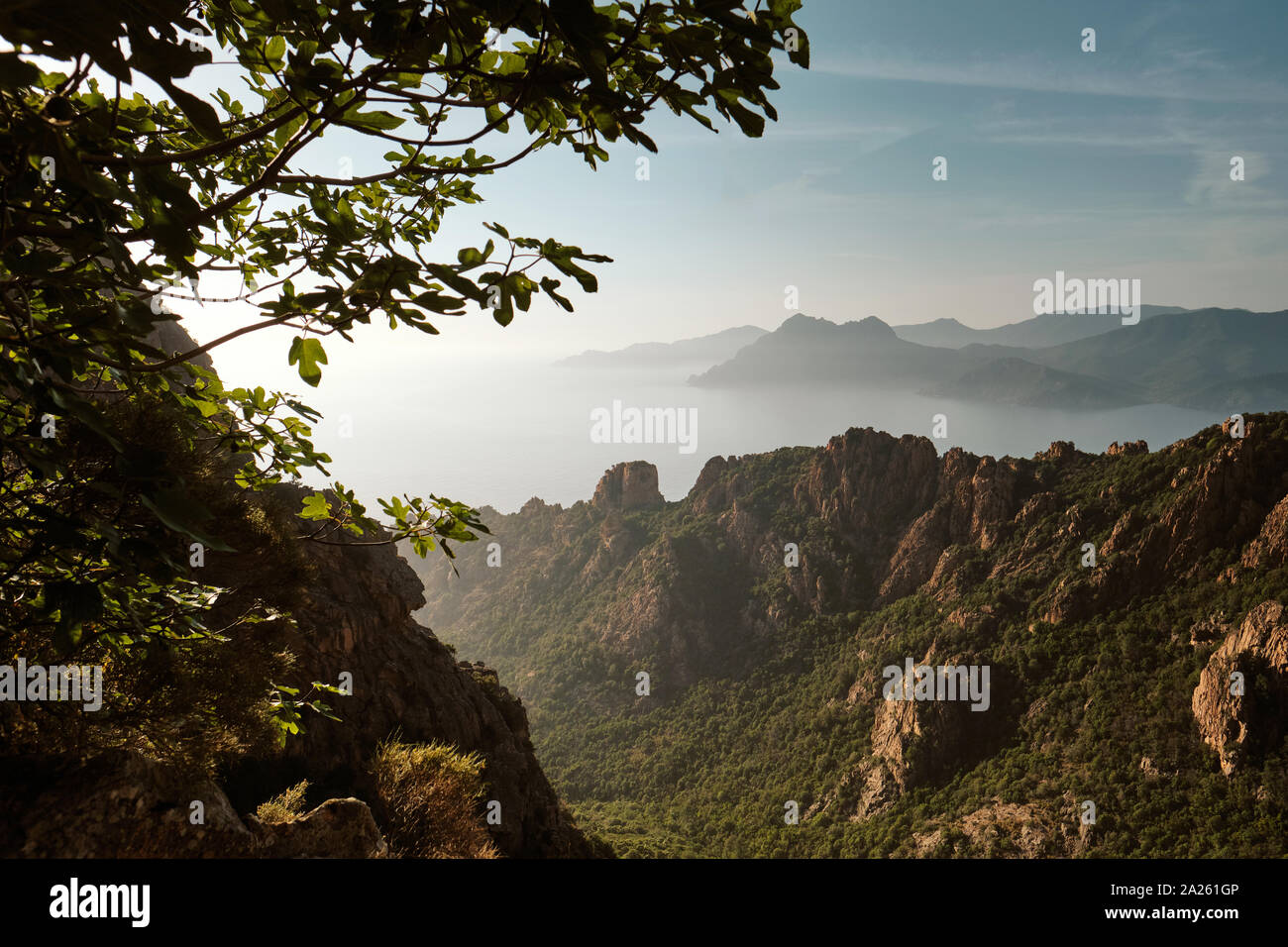 Les roches et les falaises de granit paysage du site du patrimoine mondial de l'côte de la Calanques de Piana / Golfe de Porto, Corse France Banque D'Images