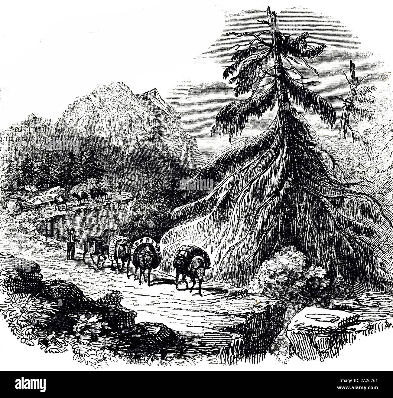 Une gravure représentant un pack-mule train traversant le col l'Oberhasli, Berne. En date du 19e siècle Banque D'Images