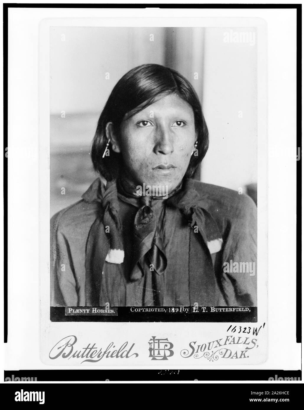 De nombreux chevaux / L.T. Butterfield, Sioux Falls, Dak. Banque D'Images