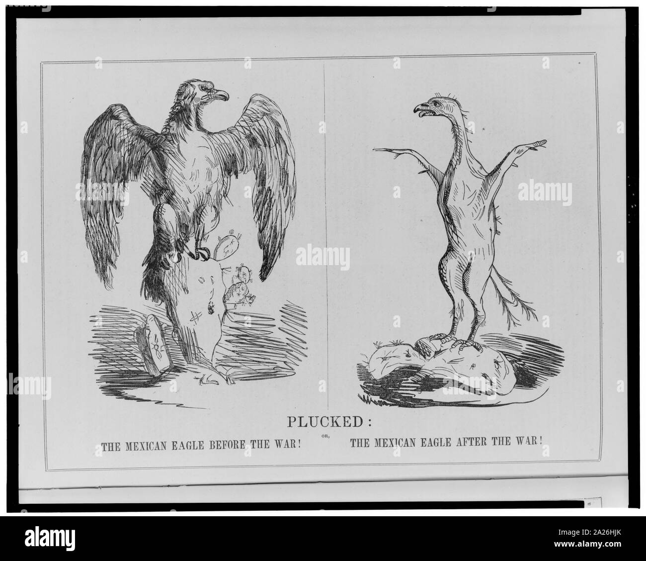 Ou pincées, l'aigle mexicain avant la guerre ! L'aigle mexicain après la guerre ! Banque D'Images