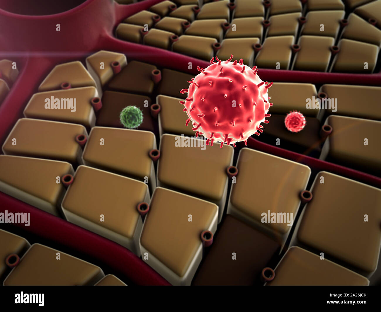 Virus pénètre dans la cellule, les maladies du foie, attaque de virus les poumons, le processus d'infecter les cellules Banque D'Images