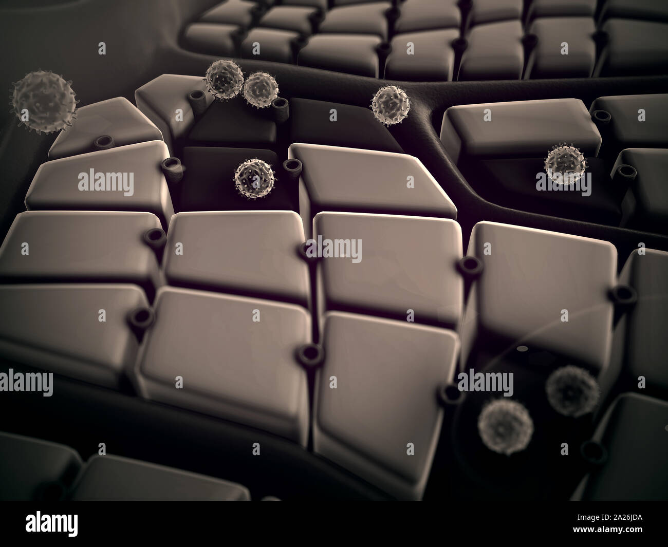 Virus pénètre dans la cellule, les maladies du foie, attaque de virus les poumons, le processus d'infecter les cellules Banque D'Images