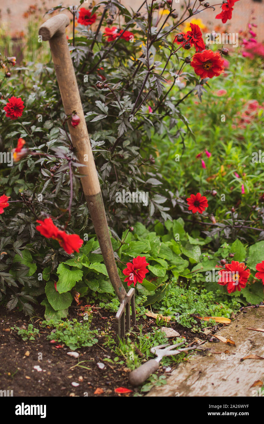 Outils de jardinage comprenant une fourchette et truelle Banque D'Images