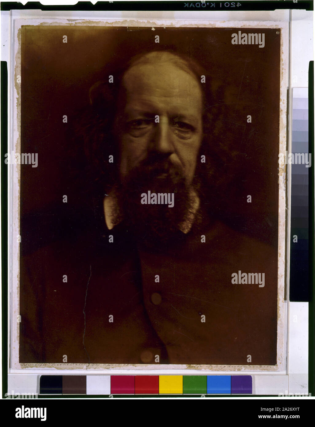 Portrait d'Alfred, Lord Tennyson Banque D'Images