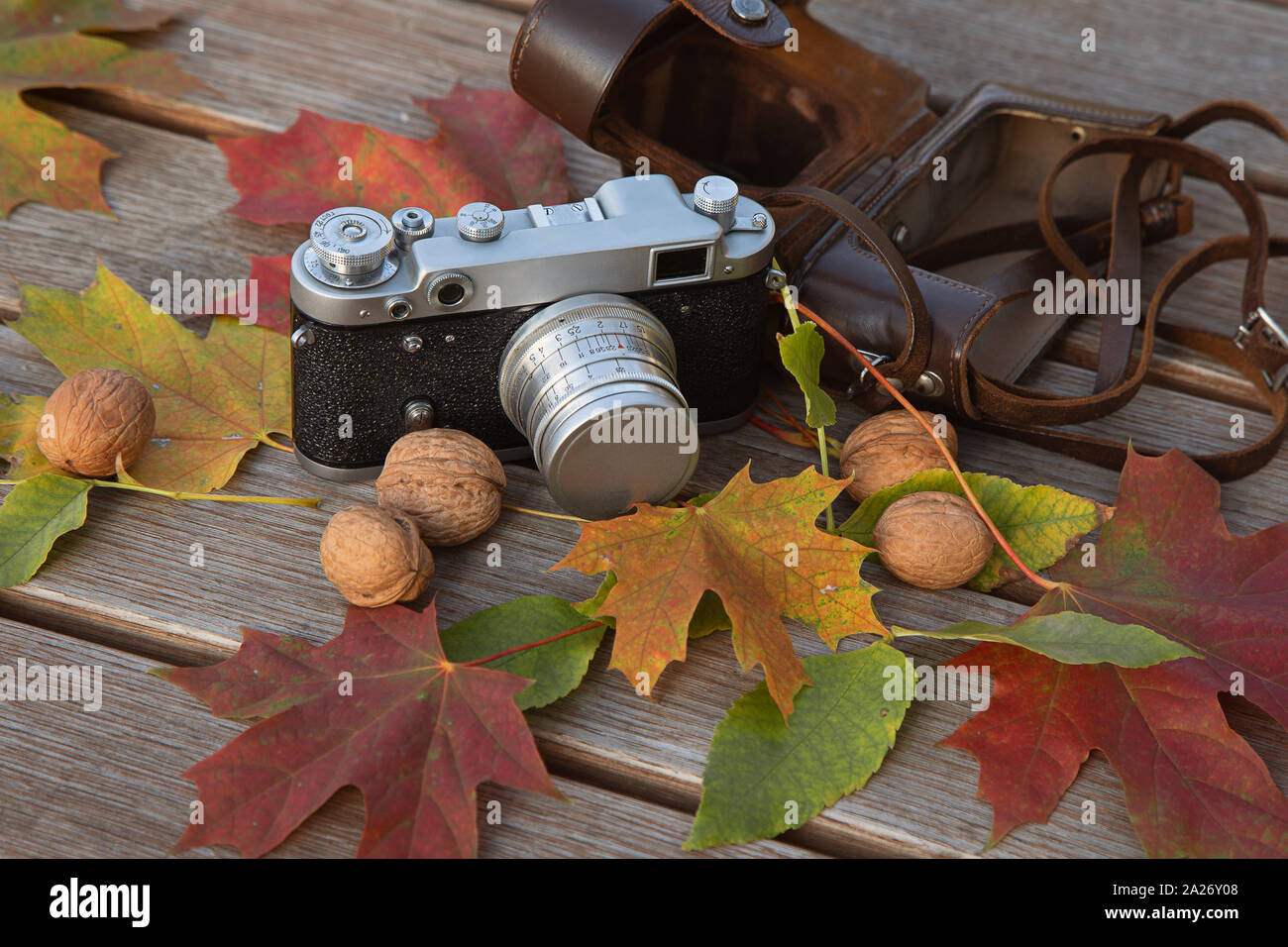 La vie encore l'humeur d'automne photo avec télémètre vintage camera, étui en cuir, les feuilles et les noix sur fond de bois Banque D'Images
