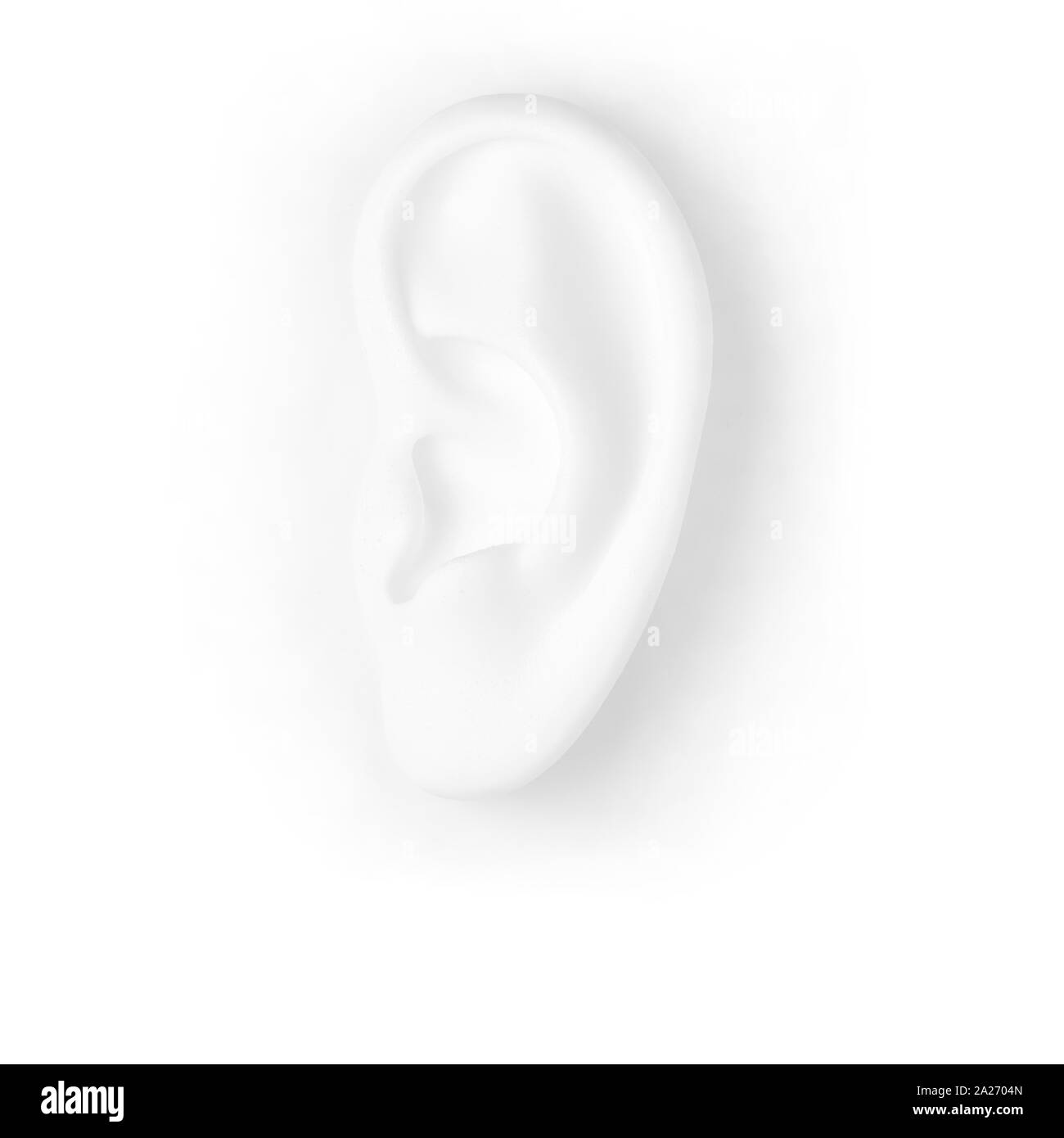 Fond blanc de l'oreille Banque D'Images