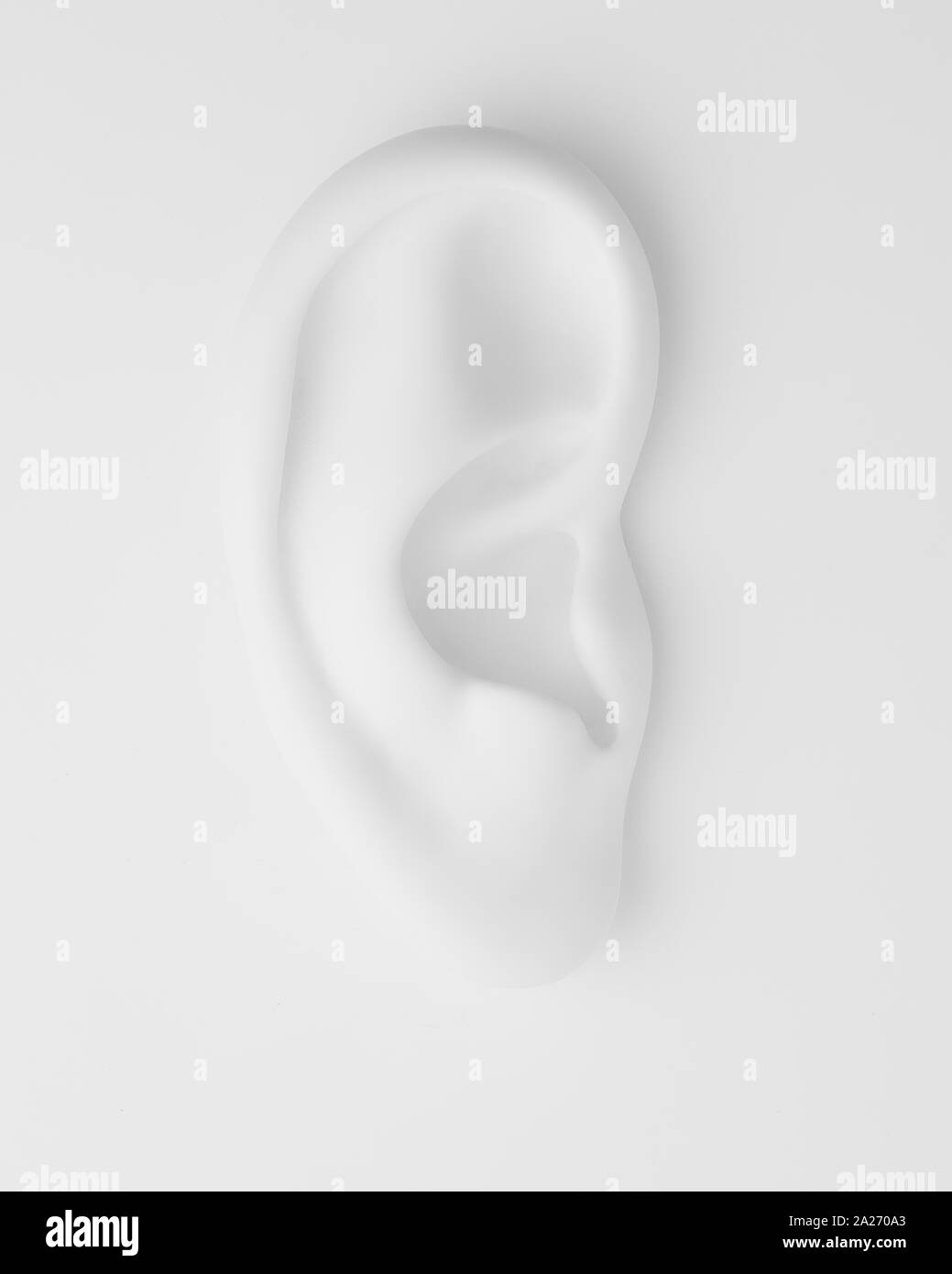 Fond blanc de l'oreille Banque D'Images