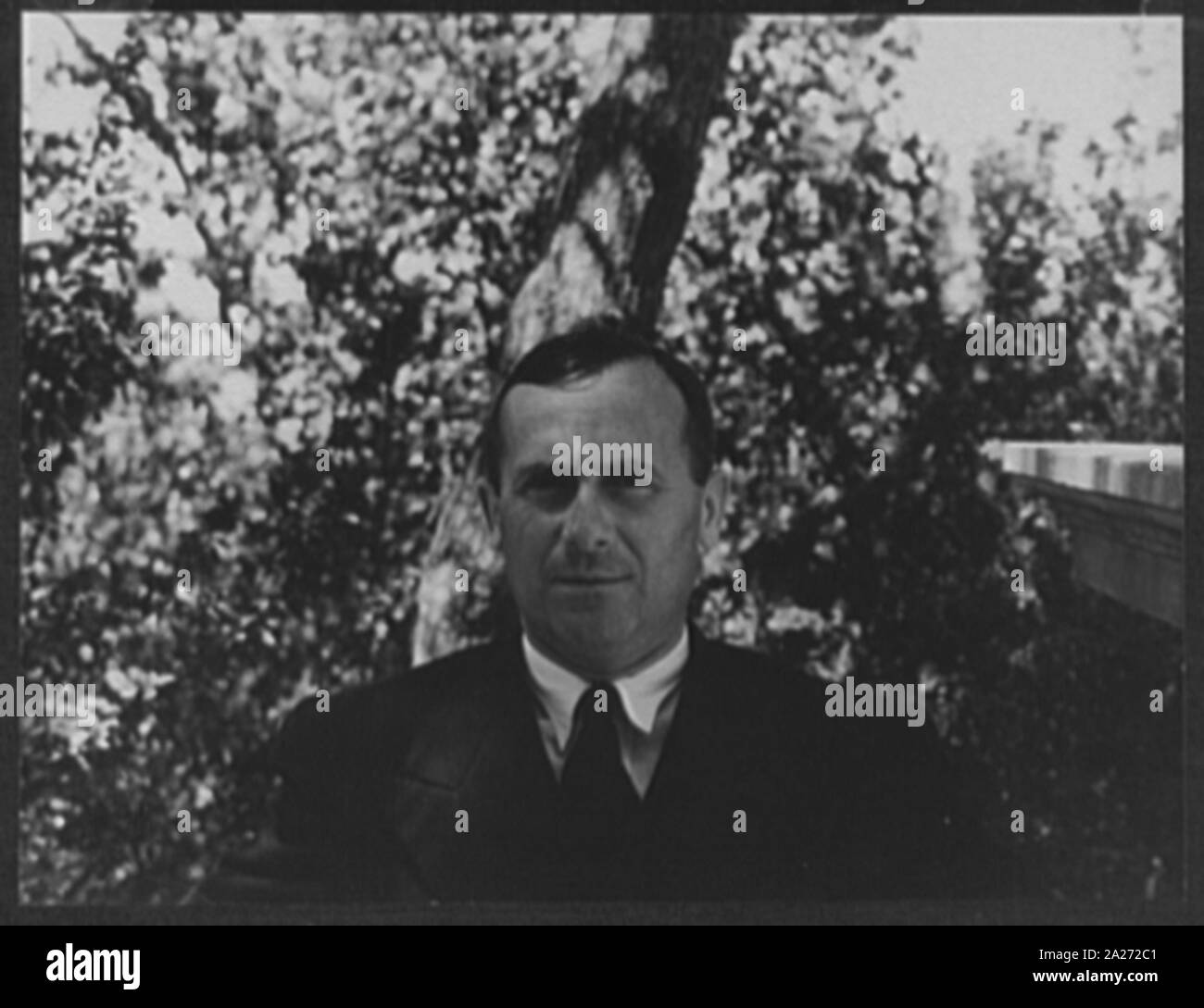 Portrait de Joan Miro Banque D'Images