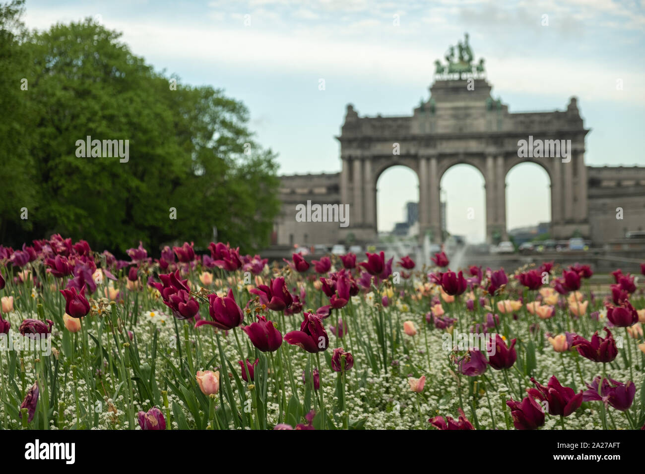 De jolies fleurs en fleurs à Jubilee Park à Bruxelles. De triomphe sur l'arrière-plan Banque D'Images