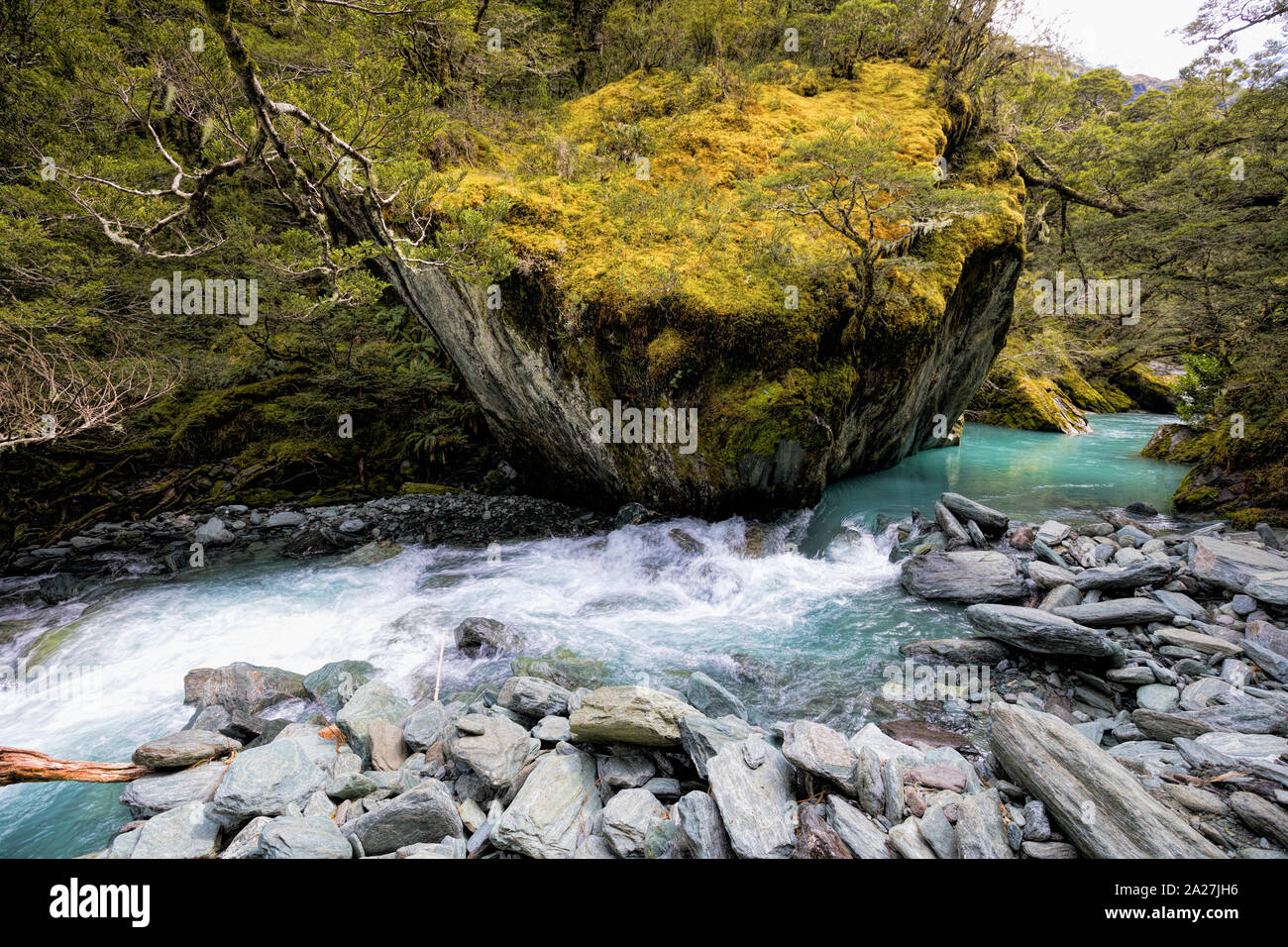 Un flux sur le bleu glacier Rob Roy Track. Mt aspirant National Park, New Zealand Banque D'Images