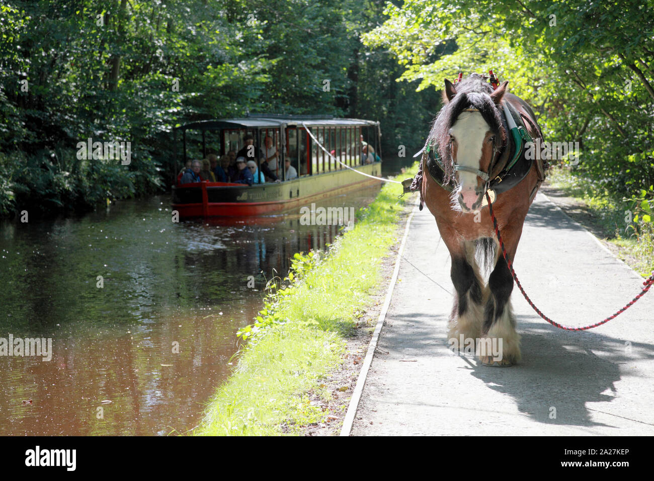 Dessin d'un cheval un bateau de Llangollen Wharf le Dee Valley vers Llantysilio Banque D'Images Dessin d'un cheval un bateau de Llangollen Wharf le Dee Valley vers Llantysilio Banque D'Images