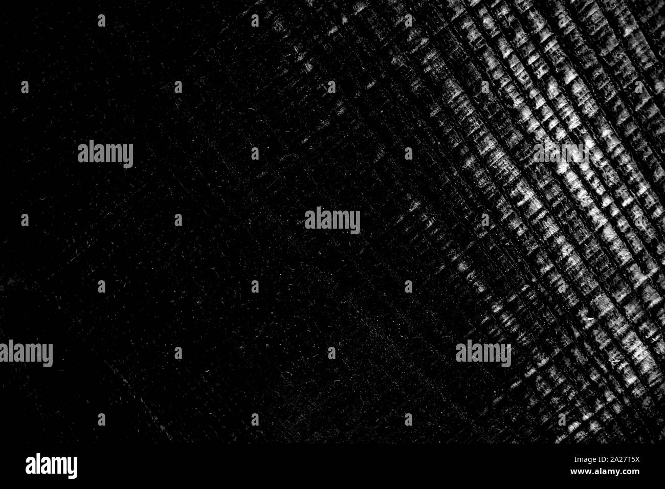 Noir et blanc texture arbre transversal Banque D'Images