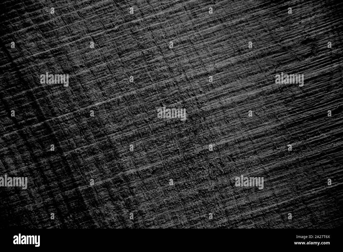 Noir et blanc texture arbre transversal Banque D'Images