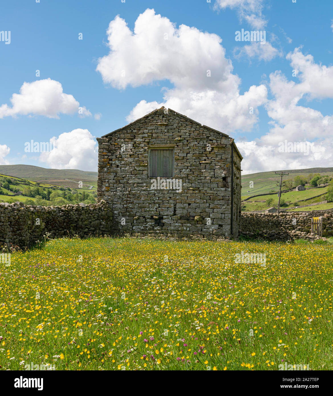 Les prés de fleurs sauvages et de granges de Swaledale Banque D'Images