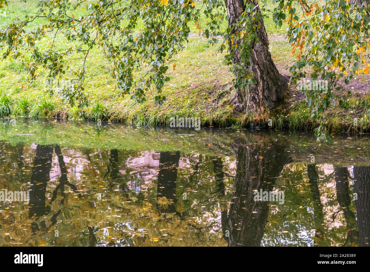 Reflet des arbres dans l'étang de l'automne Le Jardin de Tauride. Banque D'Images