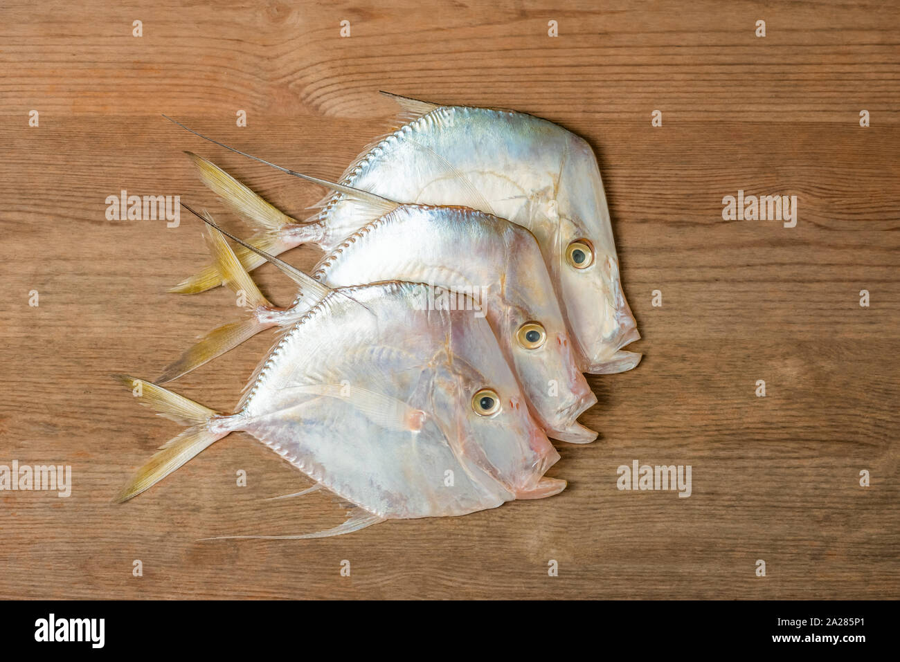 Joshua Moonshine poisson tropicale des Caraïbes sur planche de bois avec trois fruits de mer frais biologiques de l'alimentation Banque D'Images