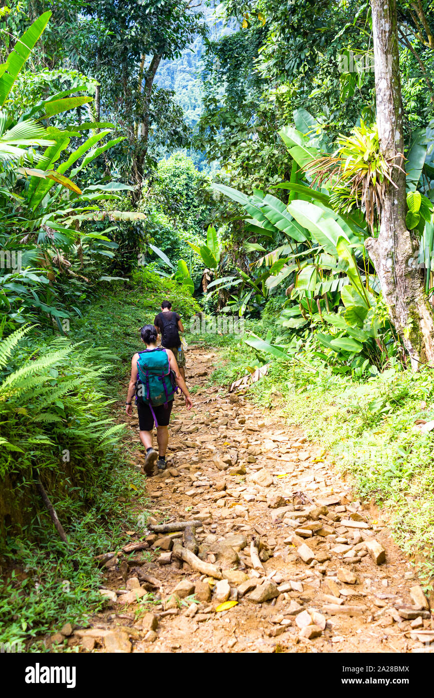 Les randonneurs à pied sur un sentier en direction de Ciudad Perdida en Colombie. Banque D'Images