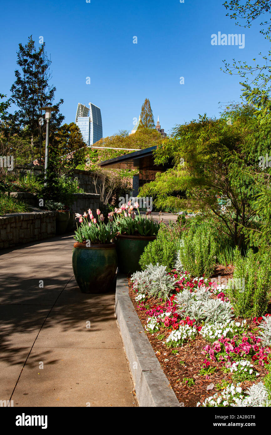 Jardin Botanique d'Atlanta, Atlanta, Géorgie, Banque D'Images