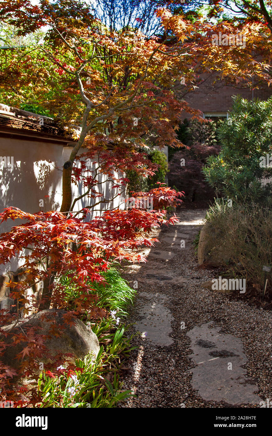 Jardin Botanique d'Atlanta, Atlanta, Géorgie, Banque D'Images