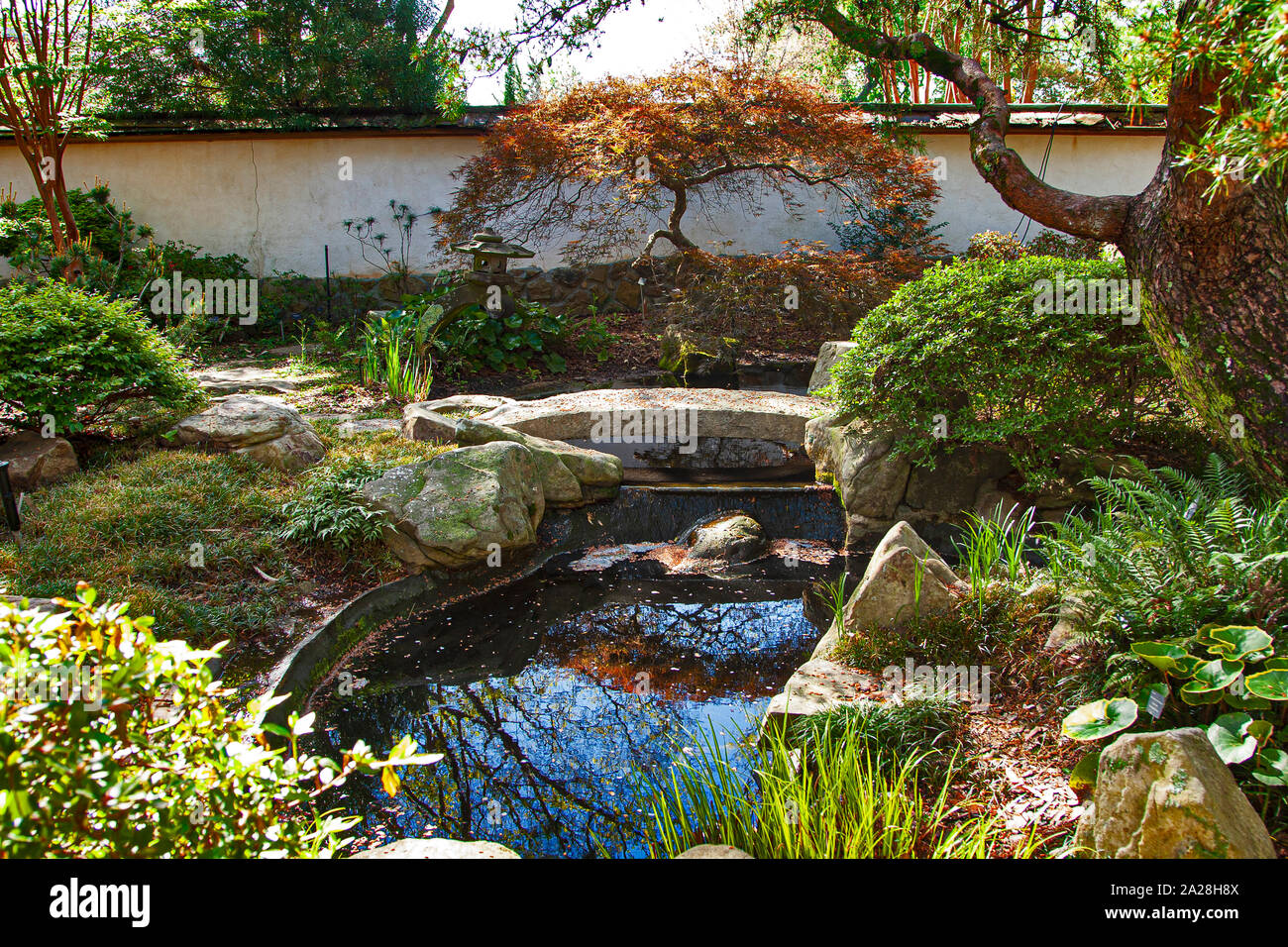 Jardin Botanique d'Atlanta, Atlanta, Géorgie, Banque D'Images