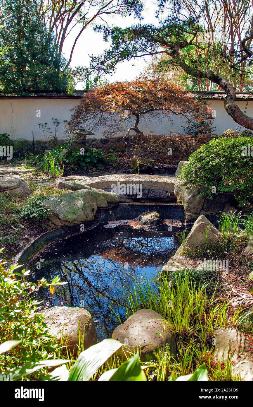 Jardin Botanique d'Atlanta, Atlanta, Géorgie, Banque D'Images