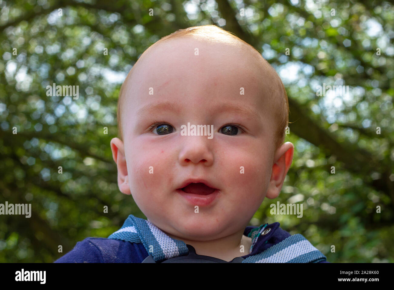 Mignon bébé garçon regardant la caméra à l'extérieur Banque D'Images