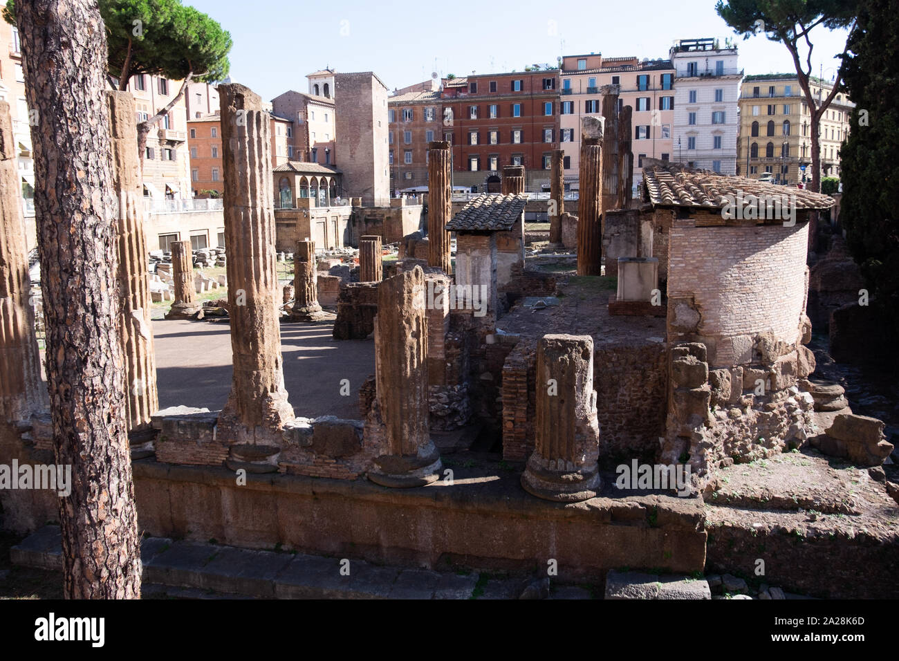 Vestiges de l'ancienne Rome capturé au sein d'un établissement moderne et de nouveaux bâtiments - un énorme contrat ancien lui aussi moderne. Maintenant utilisé comme un chat sanctuaire. Banque D'Images