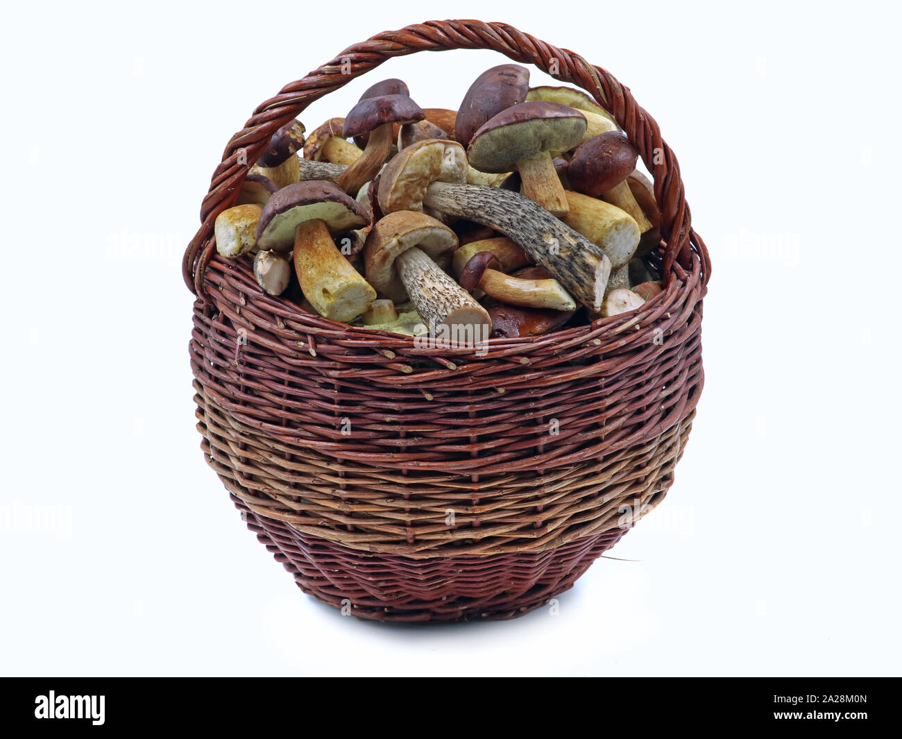 Des champignons sauvages frais dans panier isolé sur fond blanc Banque D'Images