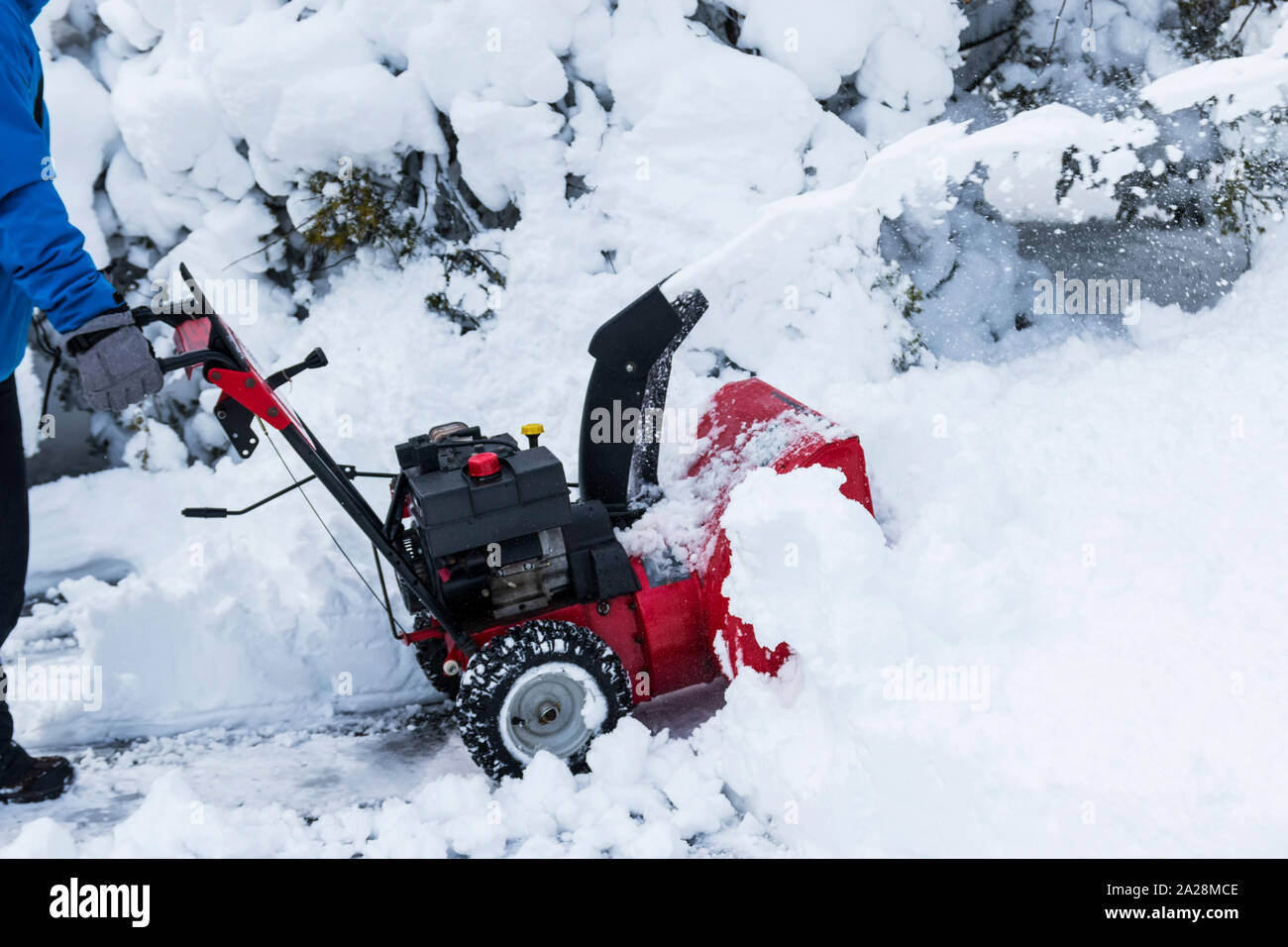 Petite souffleuse à neige Banque de photographies et d'images à haute  résolution - Alamy