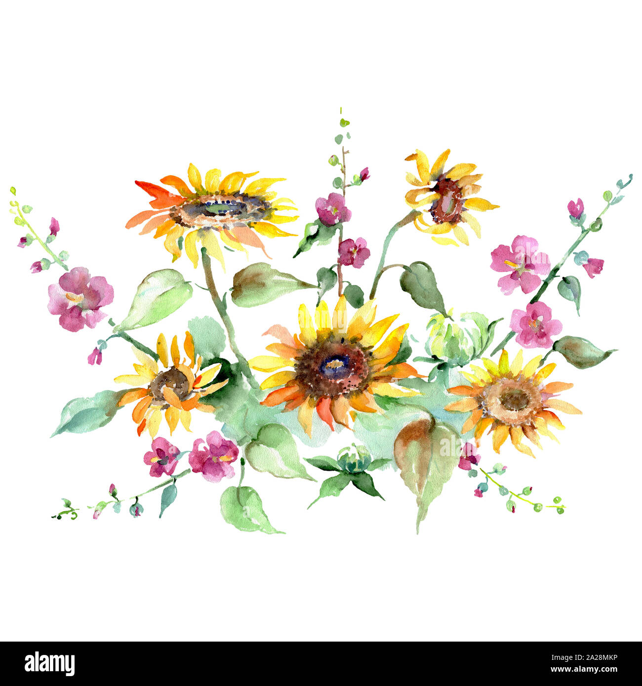 Sunflovers floral bouquet fleurs botanique. Jeu de fond à l'aquarelle. Bouquet isolé de l'élément d'illustration. Banque D'Images