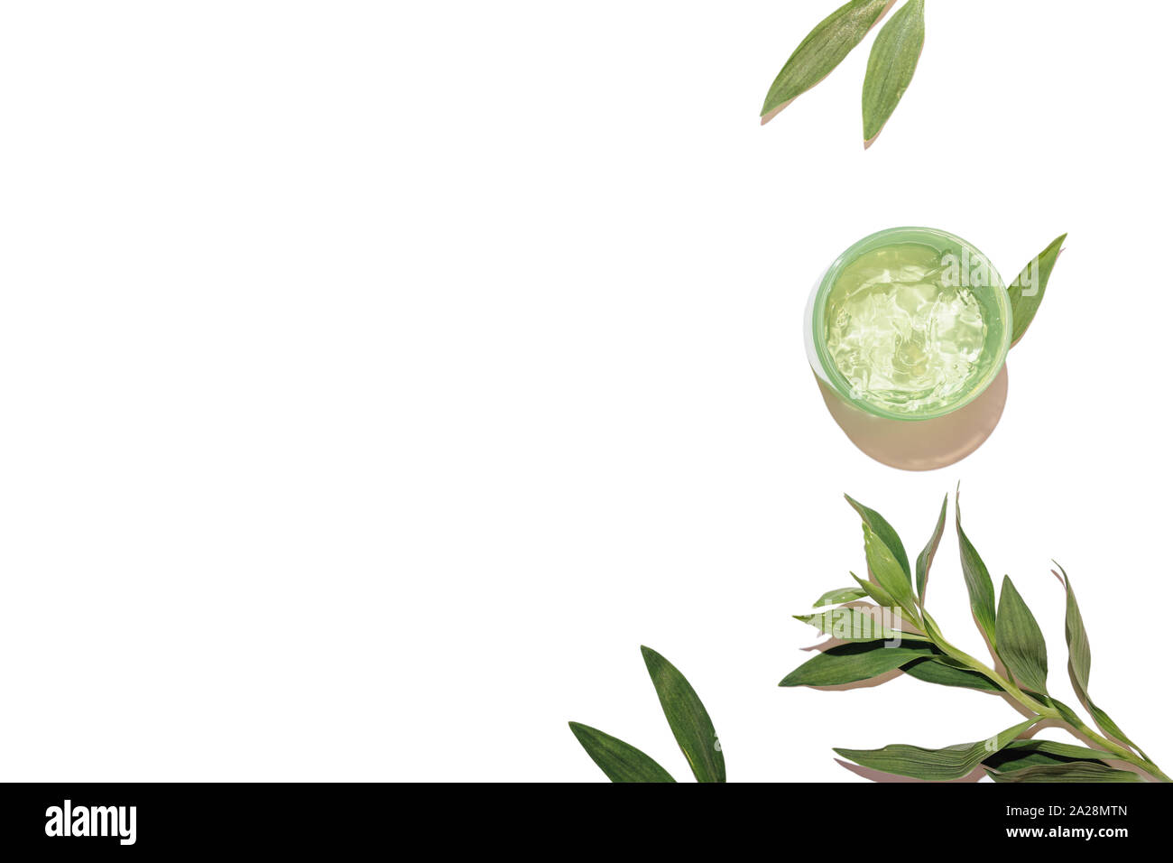 Produit de beauté naturel composition du châssis laïcs télévision. Pot de gel d'aloès près de feuilles et branches vertes sur fond blanc avec copie espace, vue du dessus. Banque D'Images