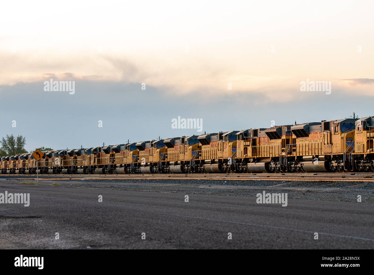 Union Pacific les locomotives en attente dans une rangée à la cour Banque D'Images