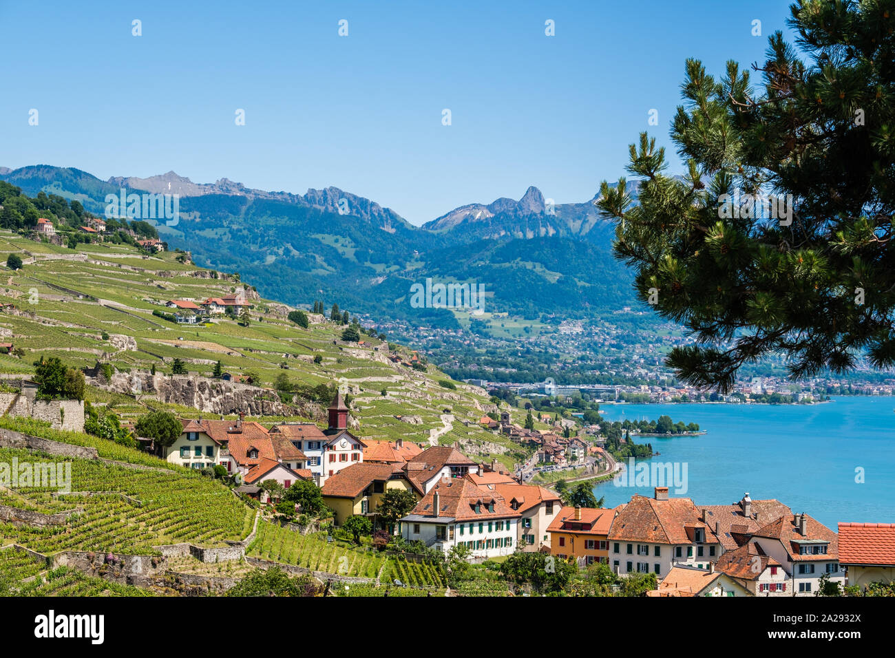 Vue sur un pittoresque petit village appelé winery Rivaz, dans la magnifique région viticole de Lavaux célèbre en Suisse avec les alpes suisses dans le background Banque D'Images