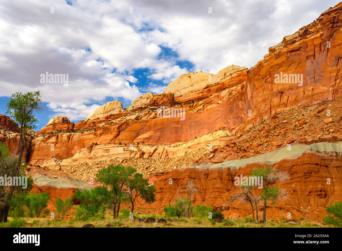 Série - Parc national de Capitol Reef NP Banque D'Images