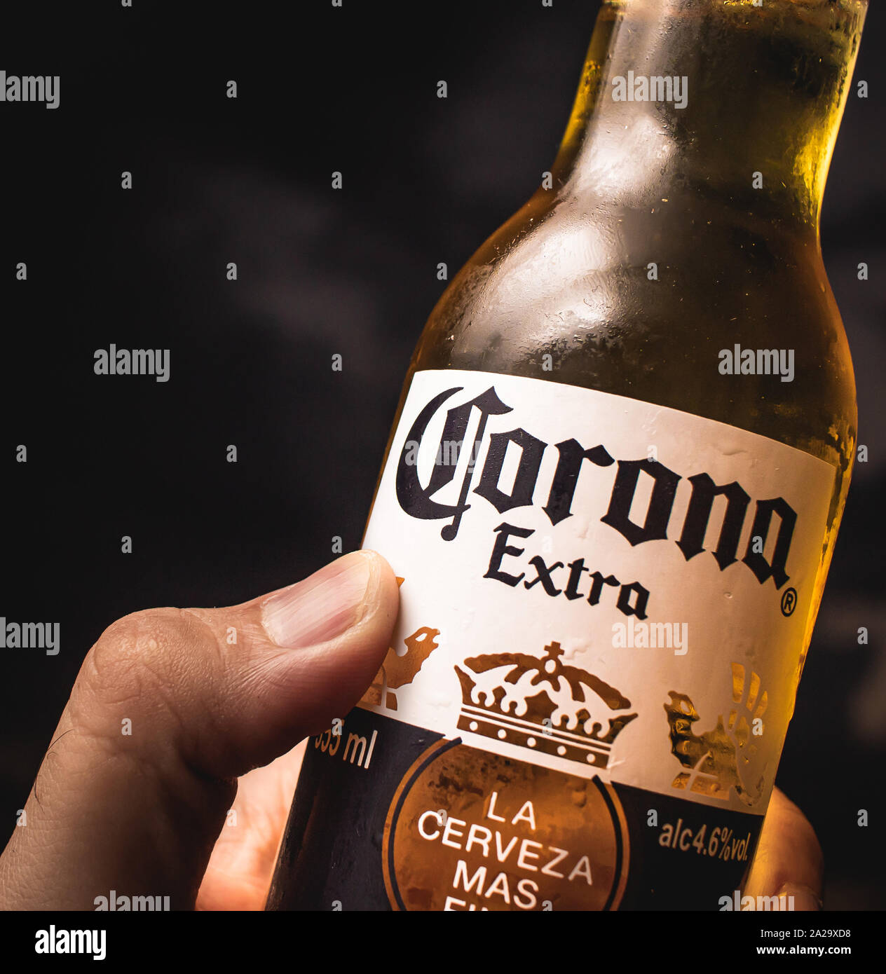 Photo d'une bouteille de bière mexicaine CORONA étant détenu par un homme. Banque D'Images