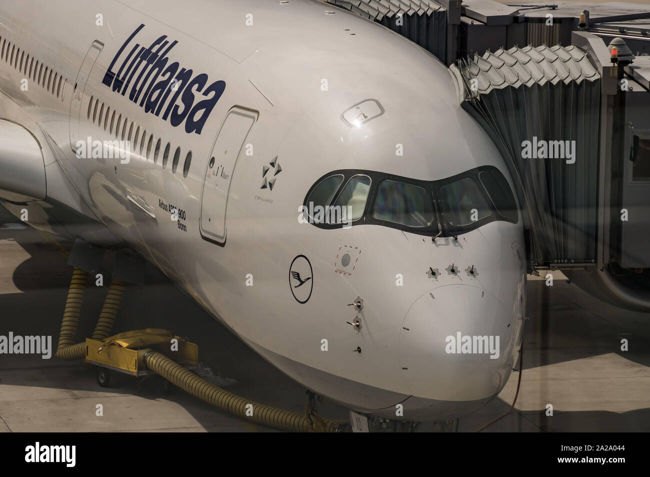 Lufthansa jet airplane parqué dans l'aéroport Banque D'Images